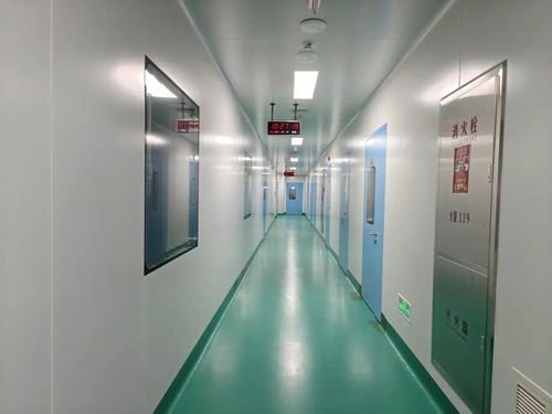 中原醫學科學城動物實驗室投用 惟物實驗室開啟生命科學研究新篇章