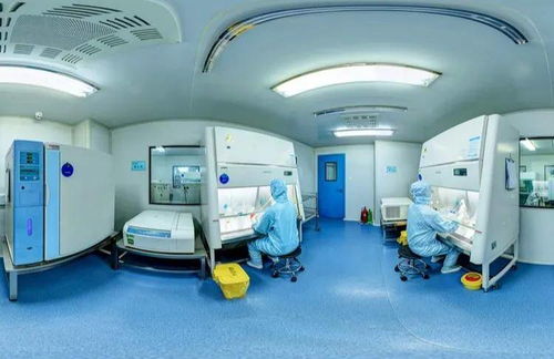 權(quán)威認(rèn)證丨華隆生物實驗室再次通過河南省衛(wèi)生廳臨床檢驗中心室間質(zhì)評