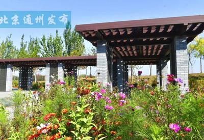 面積超400畝！通州又添休閑新地標(biāo)，城市綠肺開門迎客