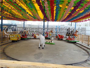航天游樂設(shè)備廠家特供歡樂跑馬 公園觀光服務(wù)的全新體驗(yàn)